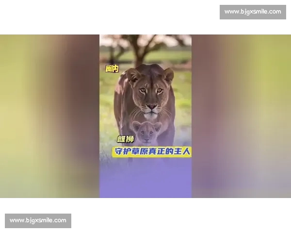 不屈雄狮奋勇前行书写荣耀与坚韧的壮丽篇章